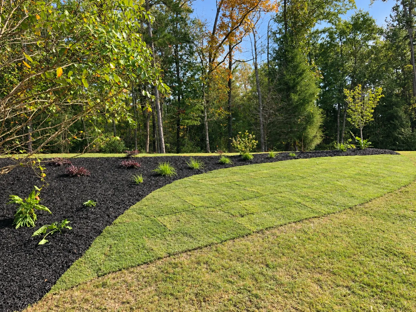A curved mulched planting bed beside a strip of newly laid sod