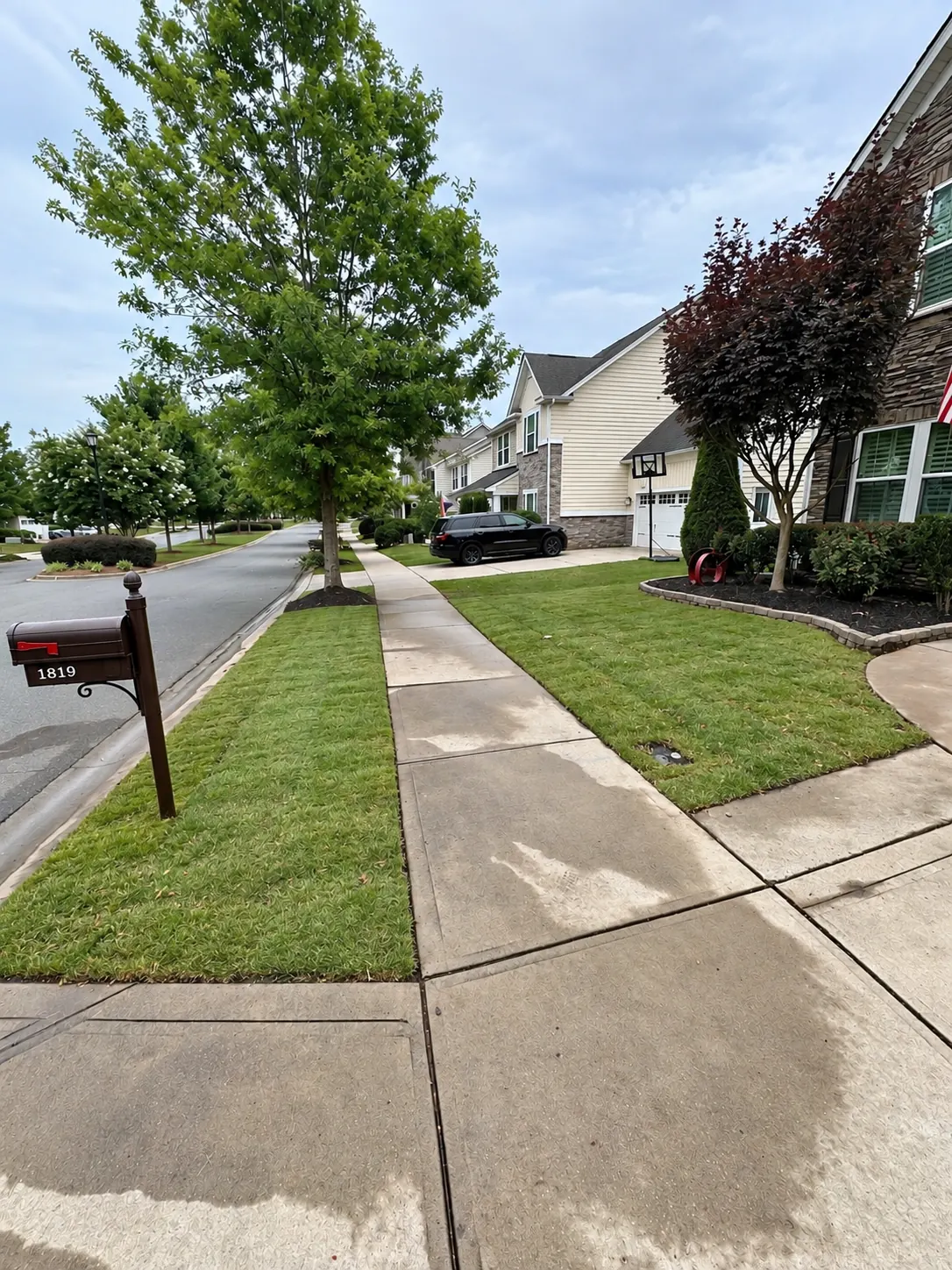 A walkway beside a mulched bed and a poured curb, shot from the path